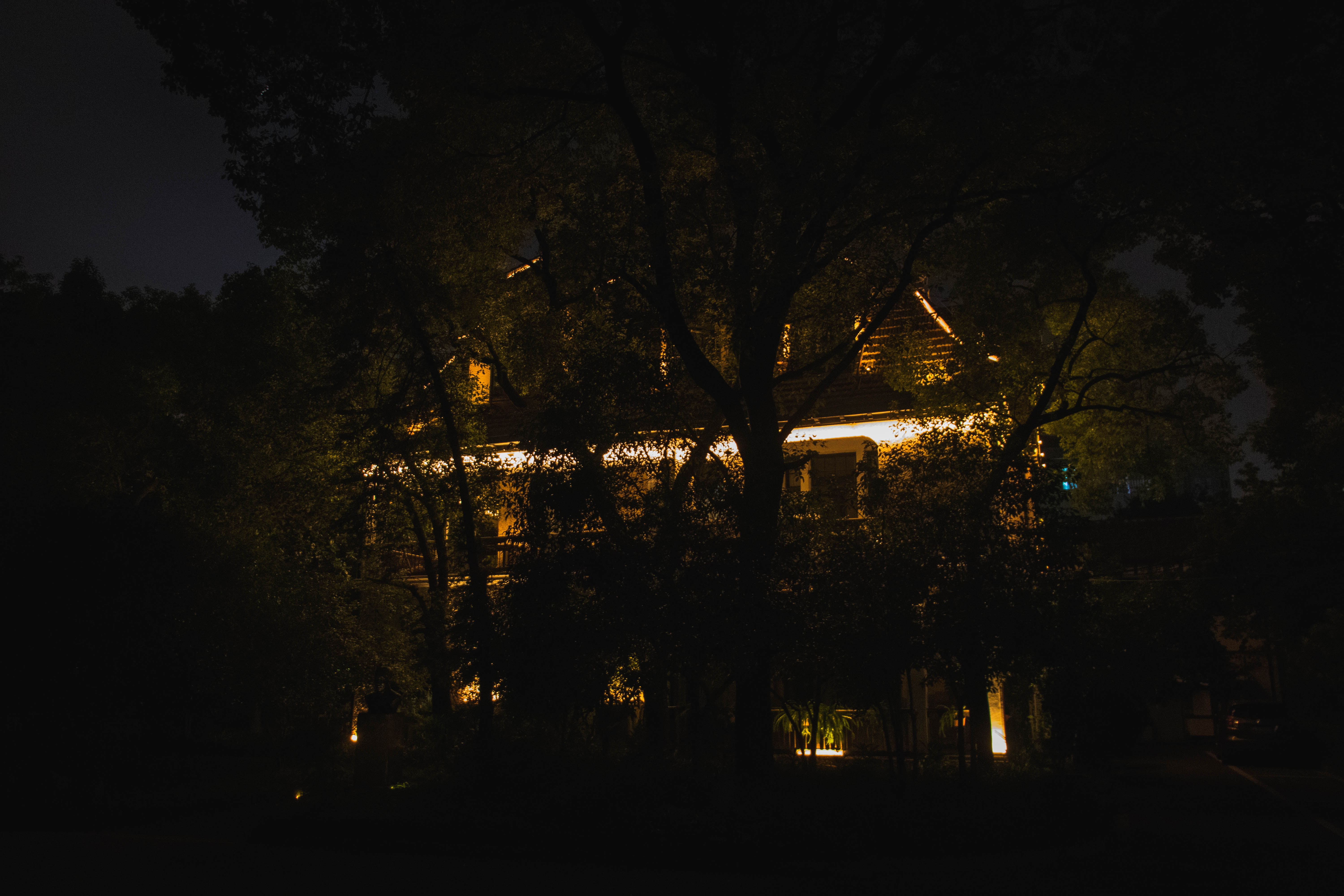 上海音乐学院夜景