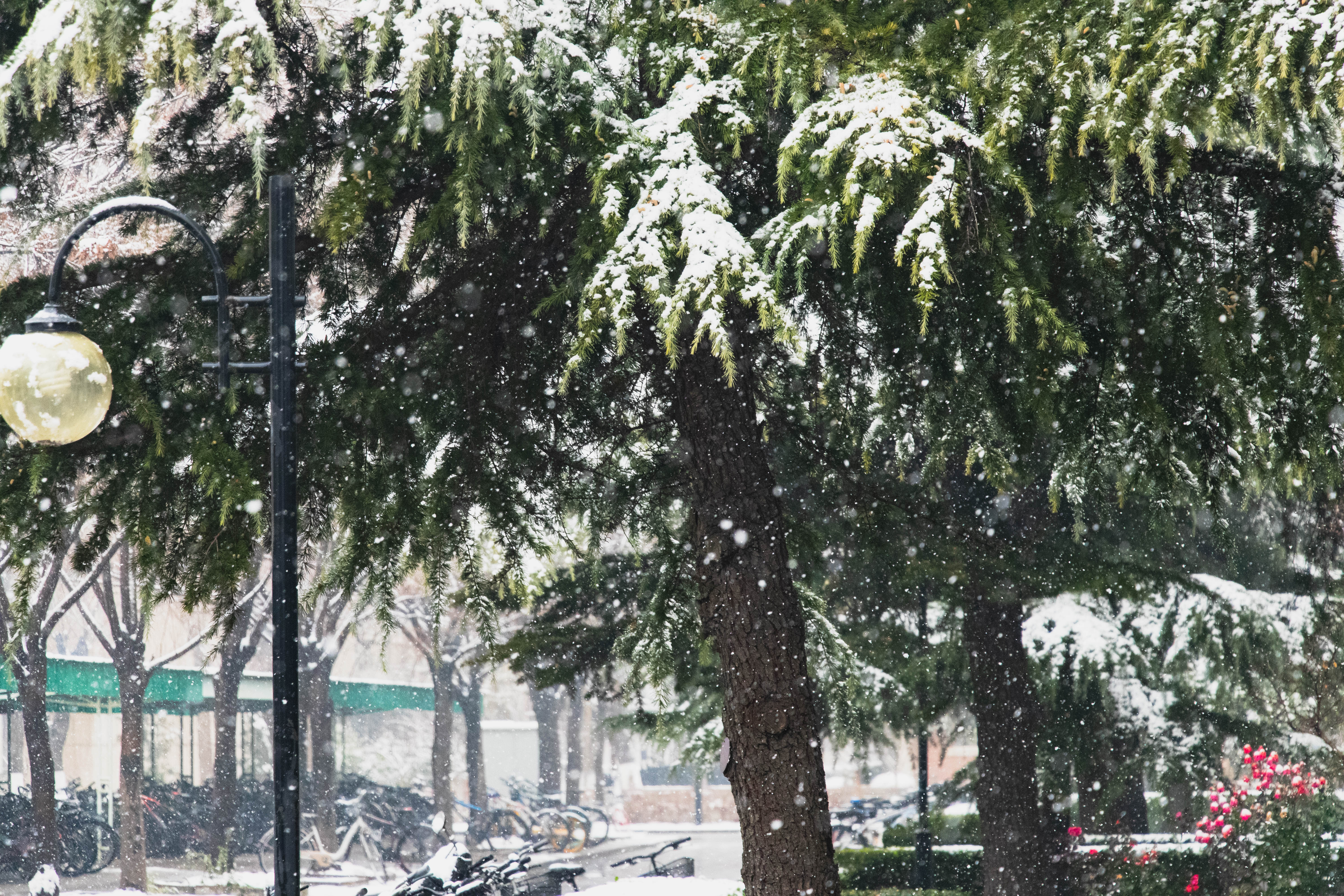 雪中宿舍楼前